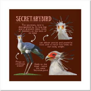 Animal Facts - Secretarybird Posters and Art